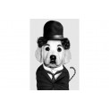 Pilt Charlie Chaplin Dog, 60x80cm