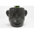 Planter Monkey, ceramic, black, H20cm