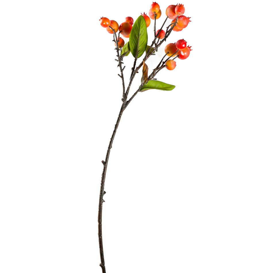 Branch Sorbus L Orange, H55cm