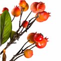 Branch Sorbus L Orange, H55cm