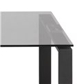 Coffee table set 2 Akatri, black, glass, H45x115x69cm