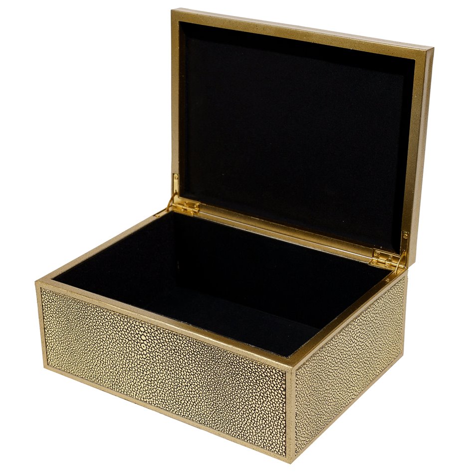 Box plasic Fulga golden L, H10x25x18.5cm