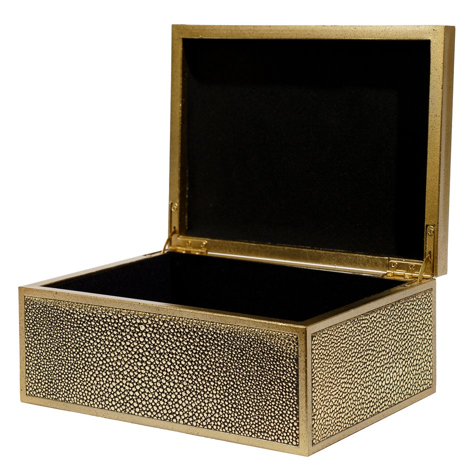 Box plasic Fulga golden M, H8.5x20x15cm