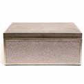 Box plasic Fulga silver M, H8.5x20x15cm