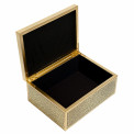 Box plasic Fulga golden M, H8.5x20x15cm