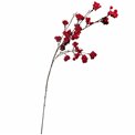 Decorative plant Red berry spray, red, H118cm