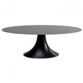 Dining table Grande Possibilita, black, H77x220x120cm