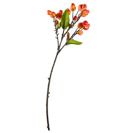 Branch Sorbus L Orange, H55cm