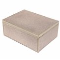 Box plasic Fulga silver L, H10x25x18.5cm