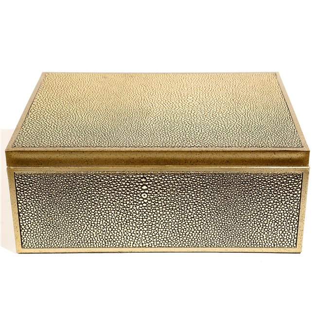 Box plasic Fulga golden L, H10x25x18.5cm