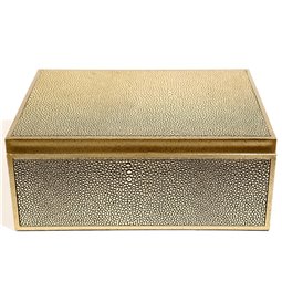 Box plasic Fulga golden L, H10x25x18.5cm