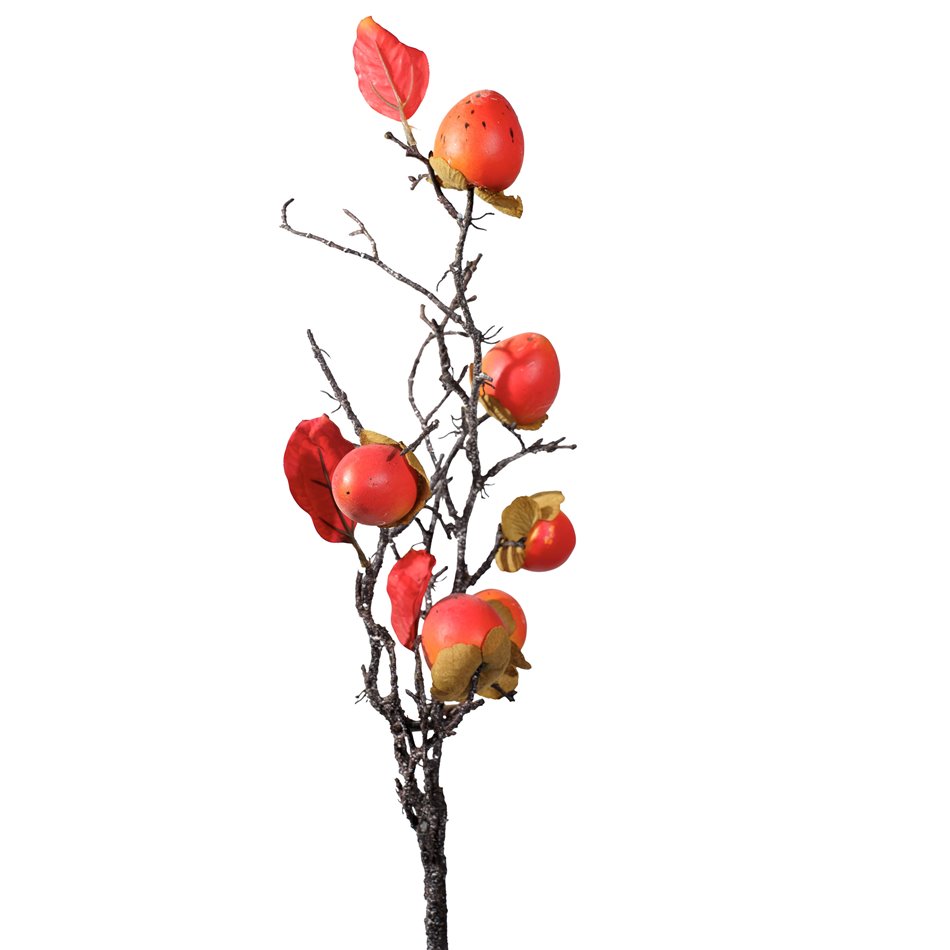 Decorative plant Chinese persimmon, orange/brown, H85cm