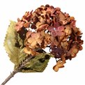 Decorative flower Hydrangea, red/orange, H74cm