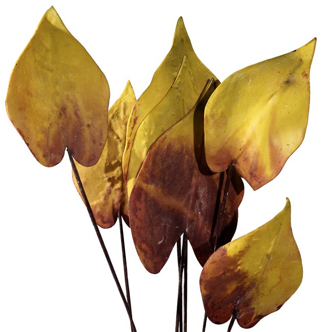 Decorative plant Hrum lily, H70cm