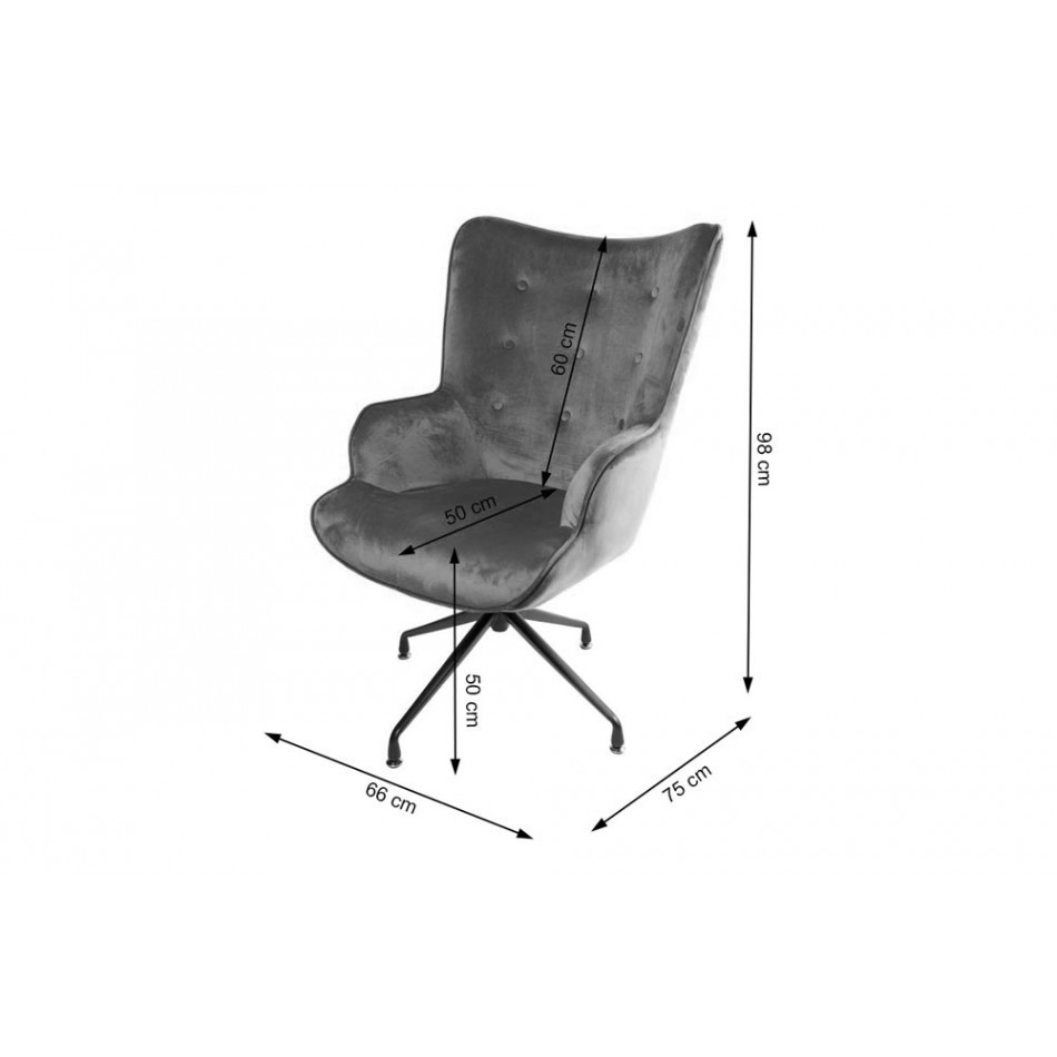 Armchair Dallas, black, velvet, 103x75.5x70cm, seat height 50cm