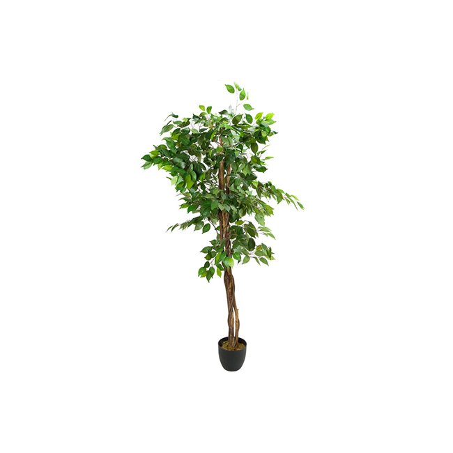 Artificial ficus in pot, H180cm