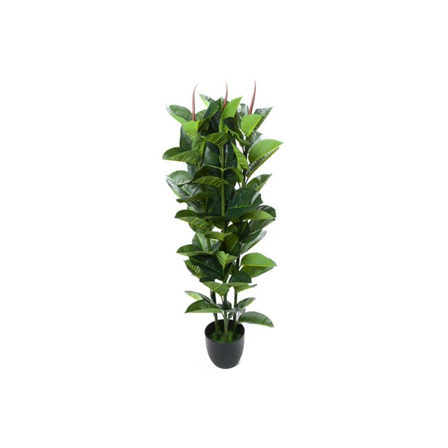 Artificial ficus Robusta, H120cm