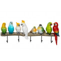 Coat rack Exotic birds, 24x54x6.5cm