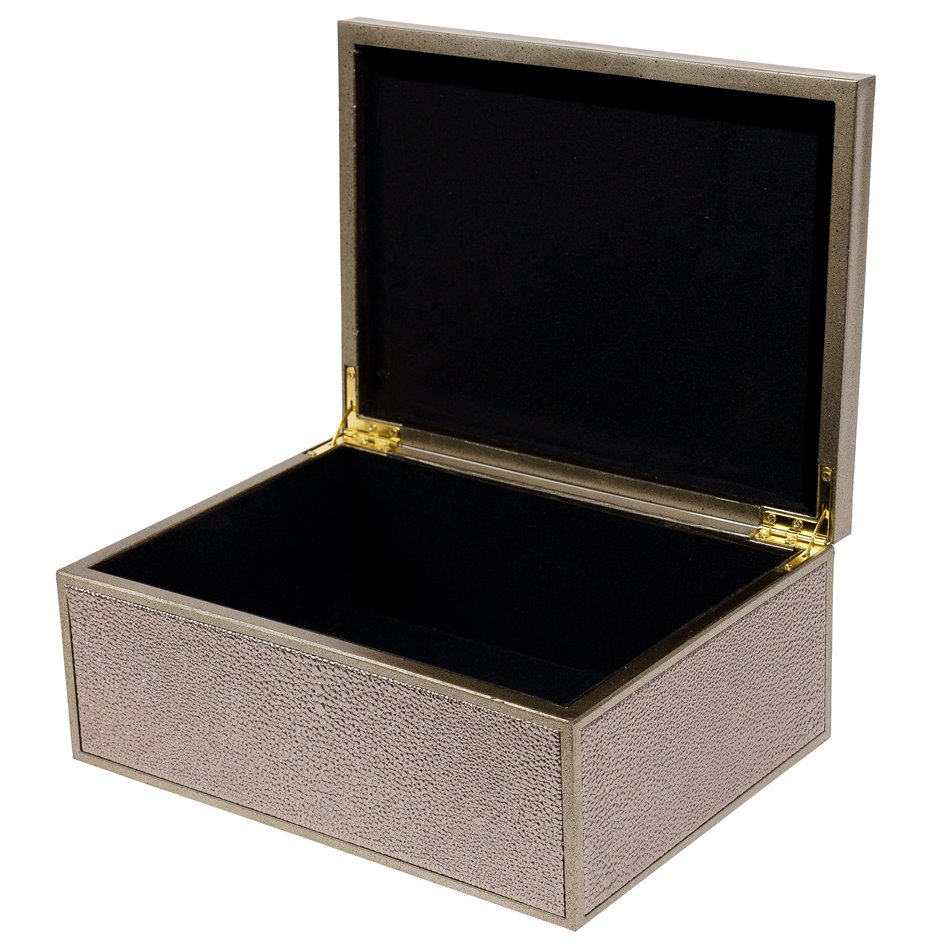 Box plasic Fulga silver L, H10x25x18.5cm