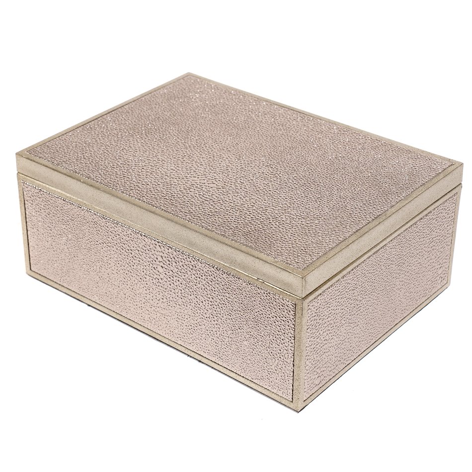 Box plasic Fulga silver L, H10x25x18.5cm