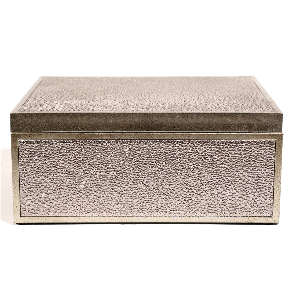 Box plasic Fulga silver M, H8.5x20x15cm