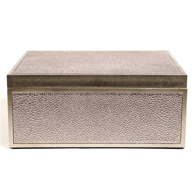 Box plasic Fulga silver M, H8.5x20x15cm