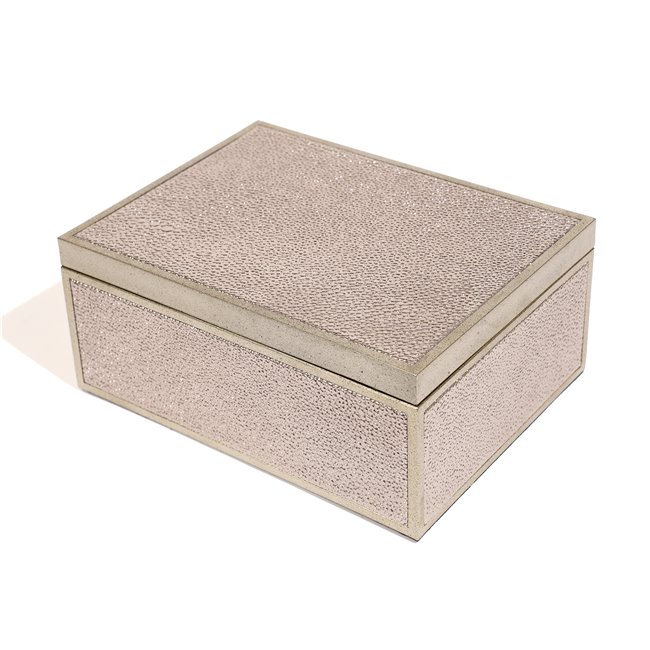 Box plasic Fulga silver M, H8.5x20x15cm