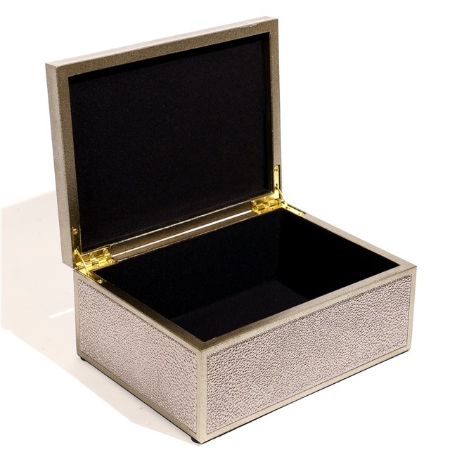 Box plasic Fulga silver M, H8.5x20x15cm