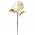 Decorative flower Hydrangea White, H74cm