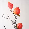 Decorative plant Chinese persimmon, orange/brown, H85cm