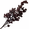 Decorative plant Black berry spray, H62cm