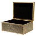 Box plasic Fulga golden M, H8.5x20x15cm