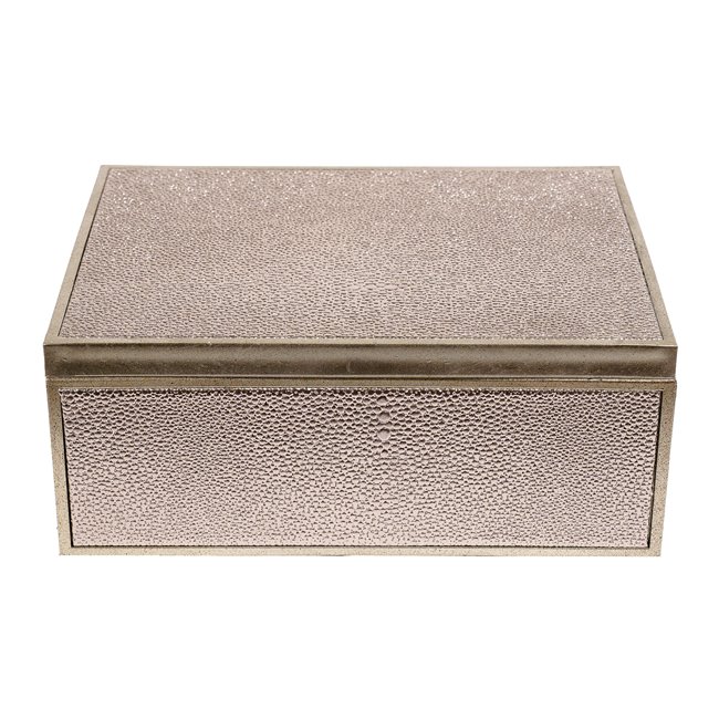 Box plasic Fulga silver L, H10x25x18.5cm