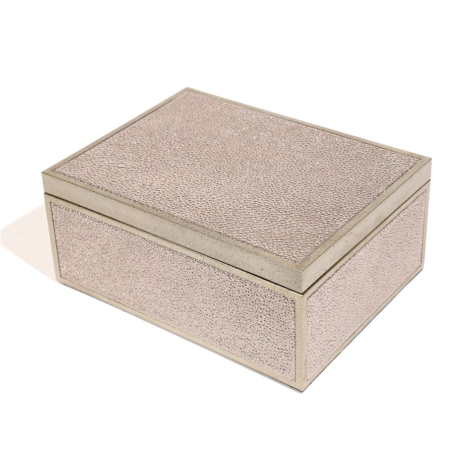 Box plasic Fulga silver M, H8.5x20x15cm