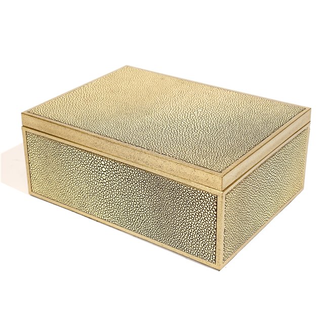 Box plasic Fulga golden L, H10x25x18.5cm