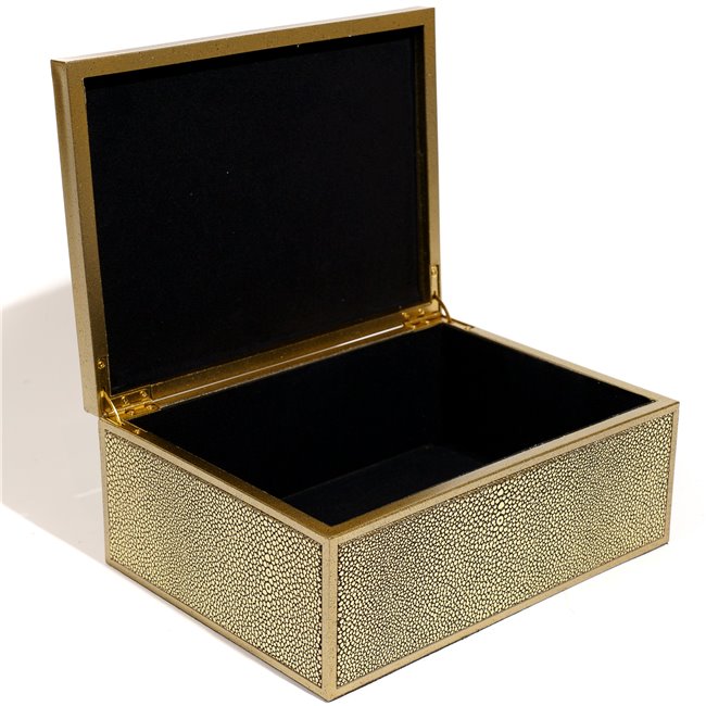 Box plasic Fulga golden L, H10x25x18.5cm