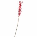 Decorative plant Red berry spray, красный, Н120cm