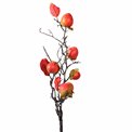 Декоративное растение Chinese persimmon, оранжевый/коричневый, H85cm