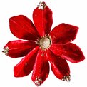 X-mas decor HANGING MAGNOIA RED 22cm